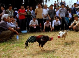  Các trò chơi dân gian ngày Tết